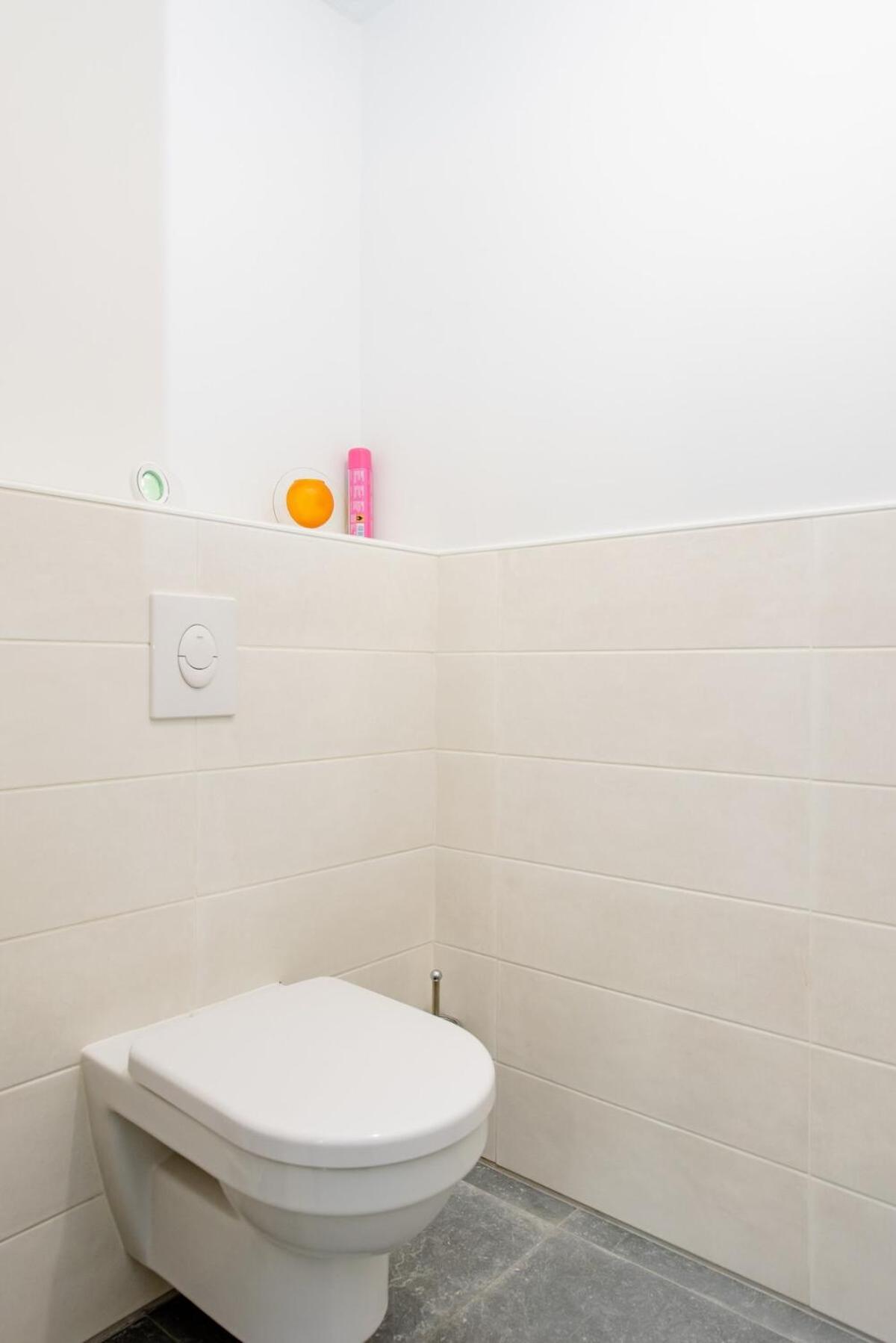 Studio De L'Avance 28M2 Fourques-sur-Garonne エクステリア 写真